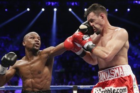 九游网页官网-女子排球国家队新战术体系逐步成型，女子排球近况