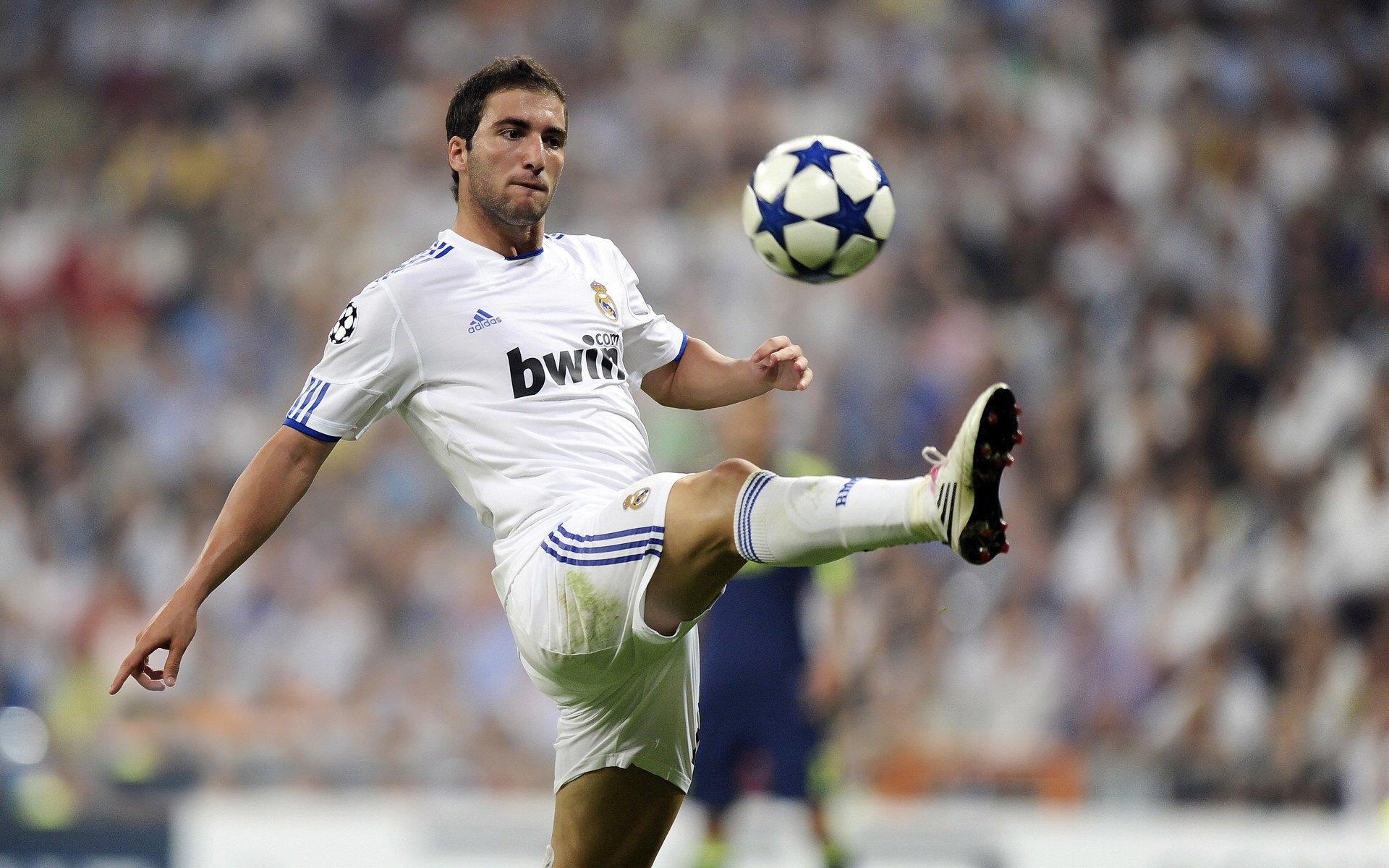 海湾者队员保持积极心态面对压力